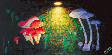 'Mushroom' by DXTR, Neighborhood Gallery at Night